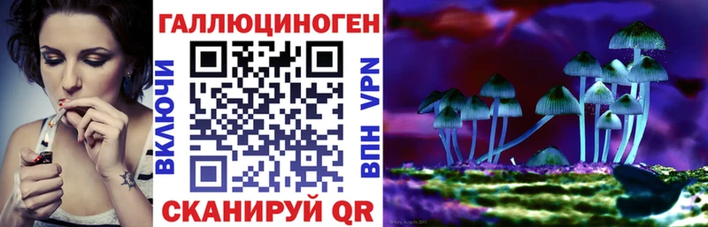 Псилоцибиновые грибы GOLDEN TEACHER  ссылка на мегу ссылки  Николаевск  купить закладку 